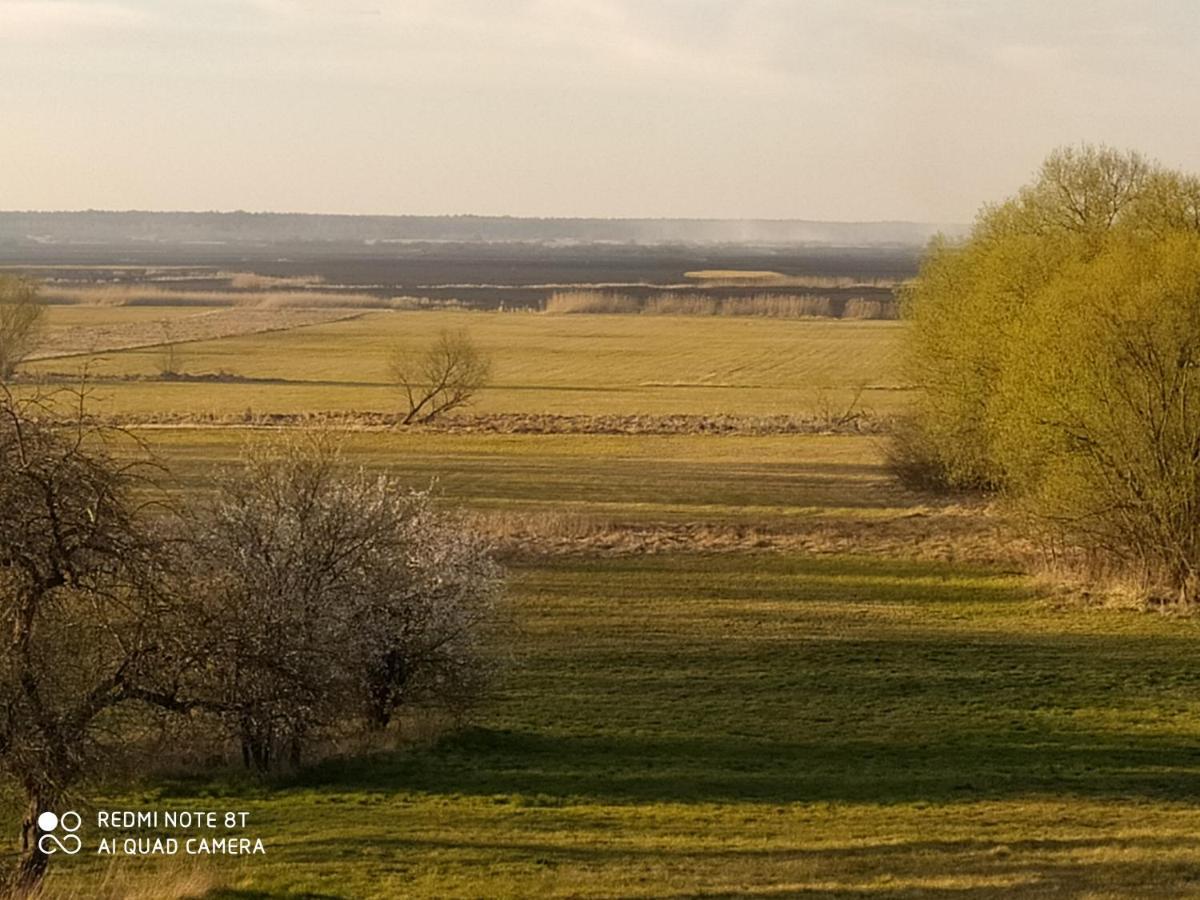 Dolistowka Apartamenty, Pole Namiotowe, Balia Z Jacuzzi, Ogrod Warzywny Dla Gosci, Plac Zabaw Dla Dzieci Goniądz Exterior foto