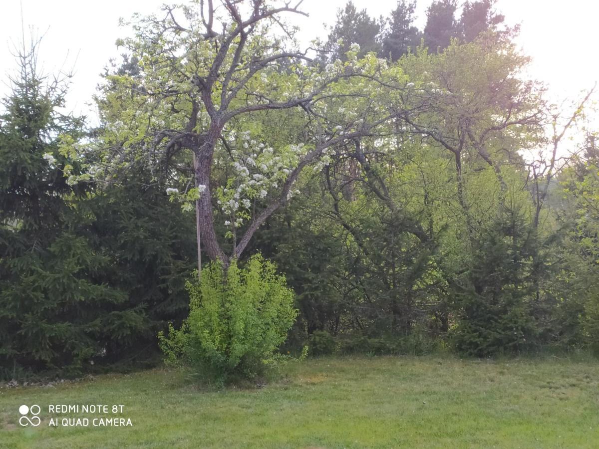 Dolistowka Apartamenty, Pole Namiotowe, Balia Z Jacuzzi, Ogrod Warzywny Dla Gosci, Plac Zabaw Dla Dzieci Goniądz Exterior foto