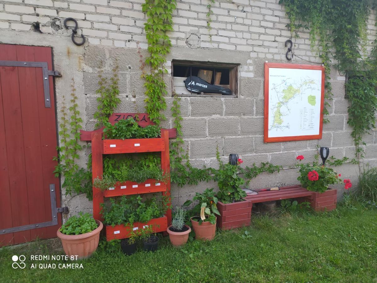 Dolistowka Apartamenty, Pole Namiotowe, Balia Z Jacuzzi, Ogrod Warzywny Dla Gosci, Plac Zabaw Dla Dzieci Goniądz Exterior foto