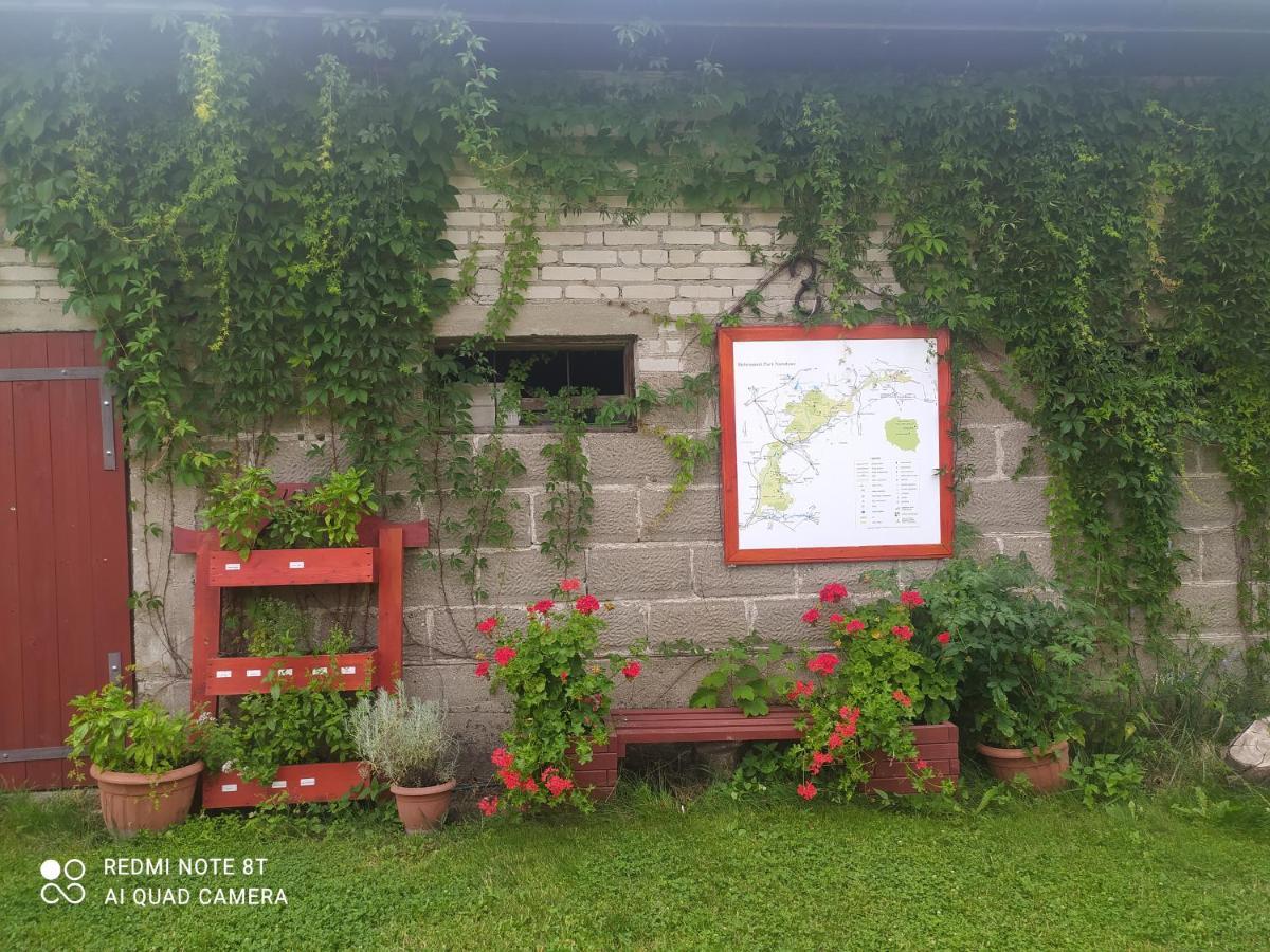 Dolistowka Apartamenty, Pole Namiotowe, Balia Z Jacuzzi, Ogrod Warzywny Dla Gosci, Plac Zabaw Dla Dzieci Goniądz Exterior foto