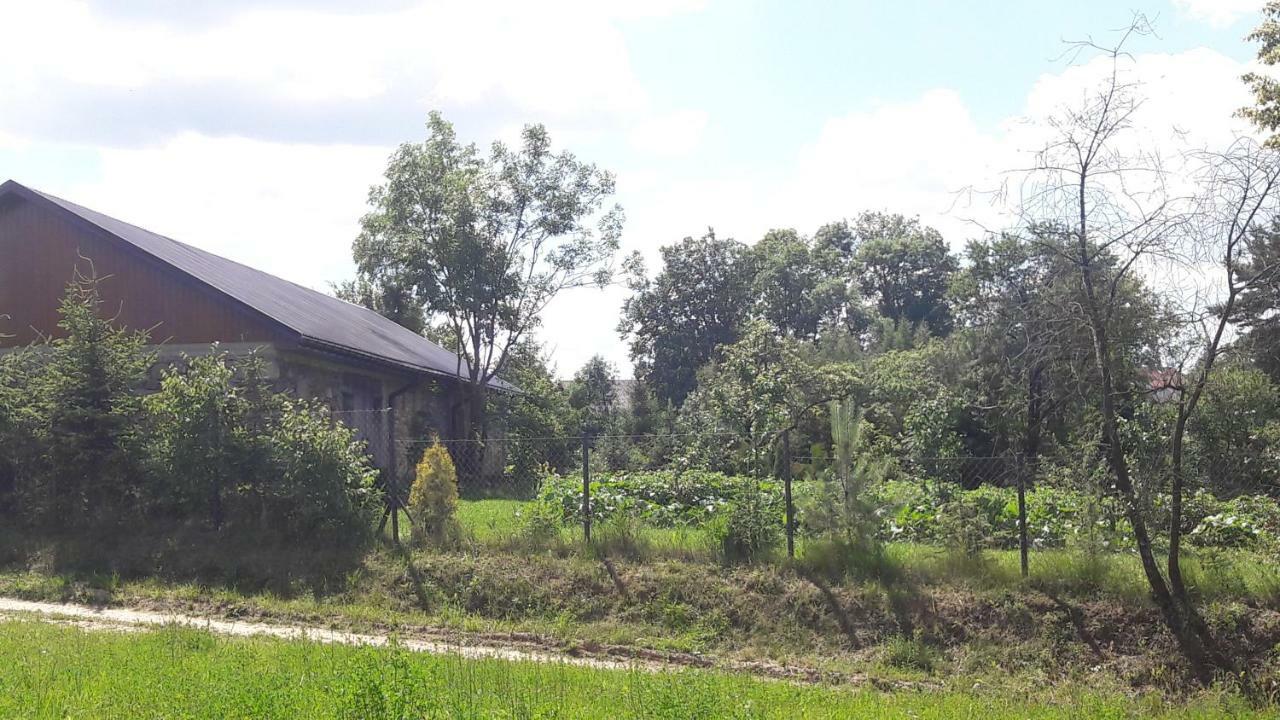Dolistowka Apartamenty, Pole Namiotowe, Balia Z Jacuzzi, Ogrod Warzywny Dla Gosci, Plac Zabaw Dla Dzieci Goniądz Exterior foto