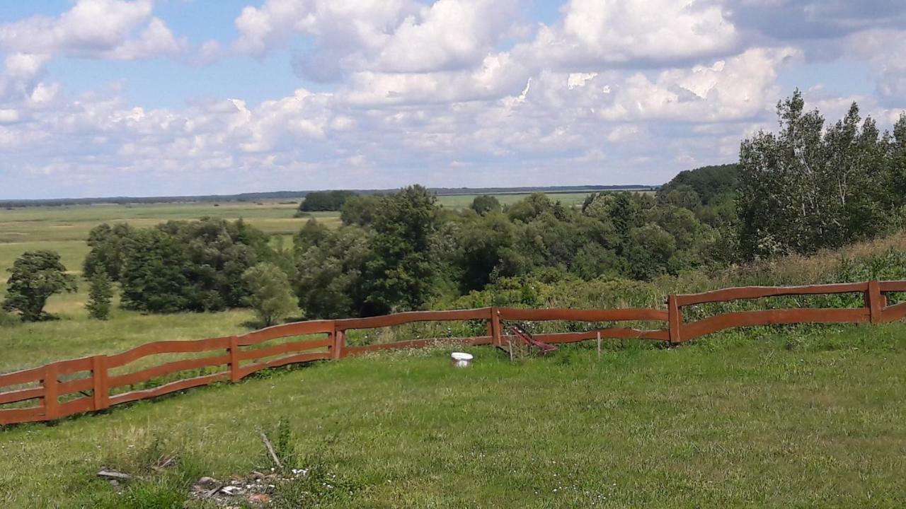 Dolistowka Apartamenty, Pole Namiotowe, Balia Z Jacuzzi, Ogrod Warzywny Dla Gosci, Plac Zabaw Dla Dzieci Goniądz Exterior foto