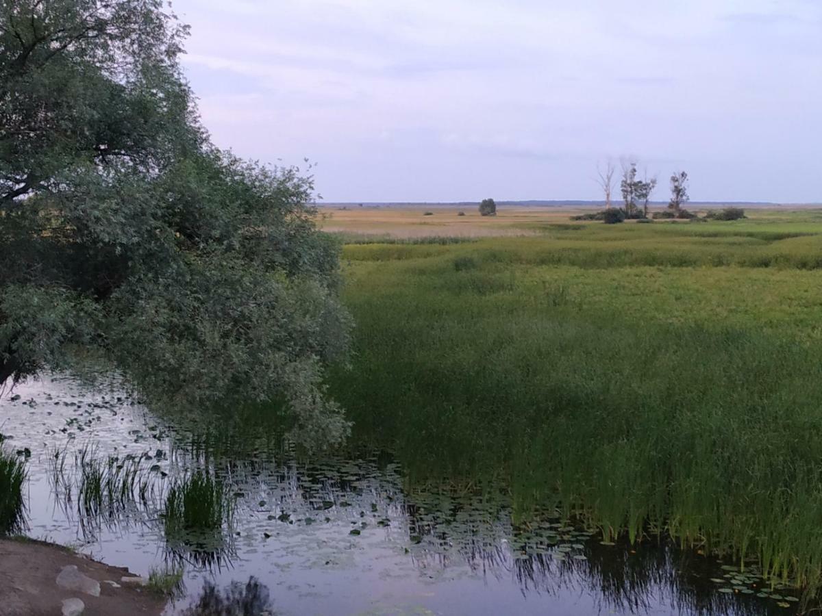 Dolistowka Apartamenty, Pole Namiotowe, Balia Z Jacuzzi, Ogrod Warzywny Dla Gosci, Plac Zabaw Dla Dzieci Goniądz Exterior foto